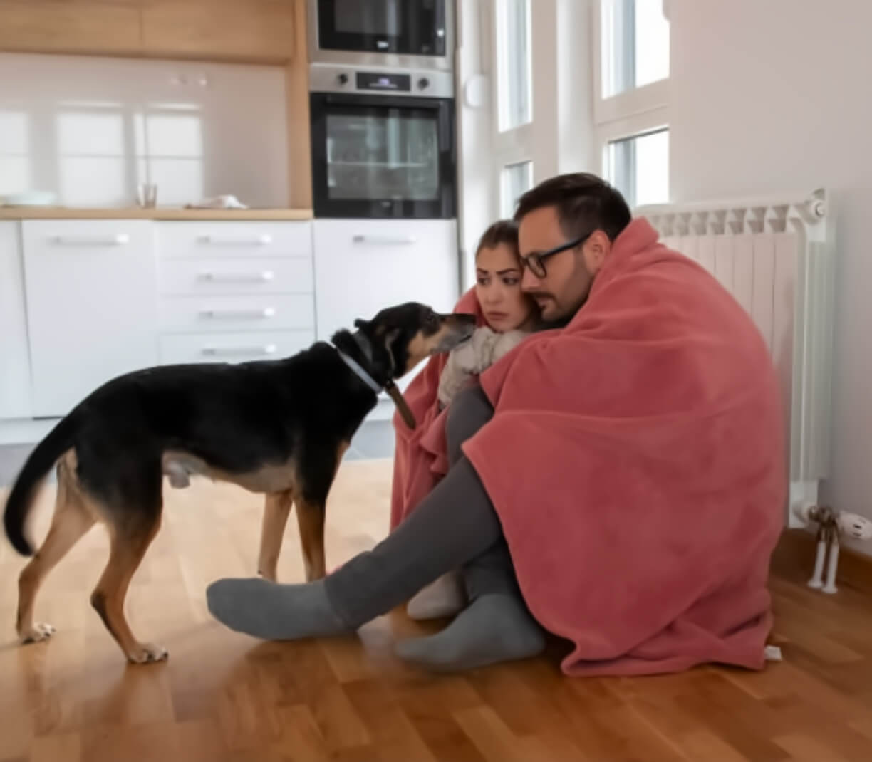 Breakdown and repairs - Excellere